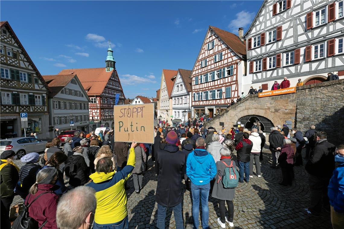 „Stoppt Putin“, „Solidarität für die Ukraine“ und „Boykotte Ja, Waffen Nein“ war auf Schildern bei der Mahnwache zu lesen. Foto: A. Becher