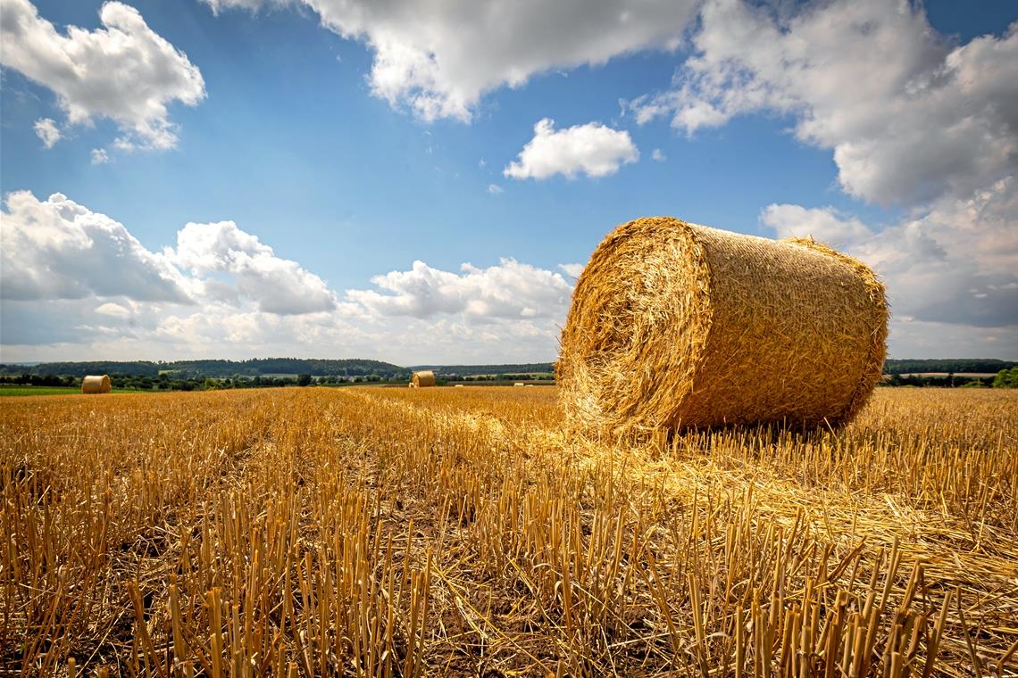 Strohballen auf einem Feld bei Allmersbach am Weinberg. Foto: Alexander Becher