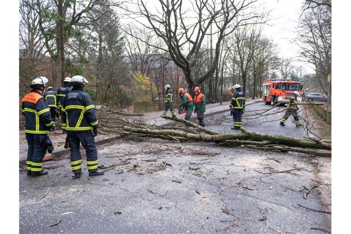 Auf „Klaus“ folgt „Luis“ - Auch Samstag wird stürmisch Sturmtief „Klaus“ sorgte für umgekippte Bäume. Am Wochenende könnten die Schäden größer werden. Foto: Jonas Walzberg/dpa