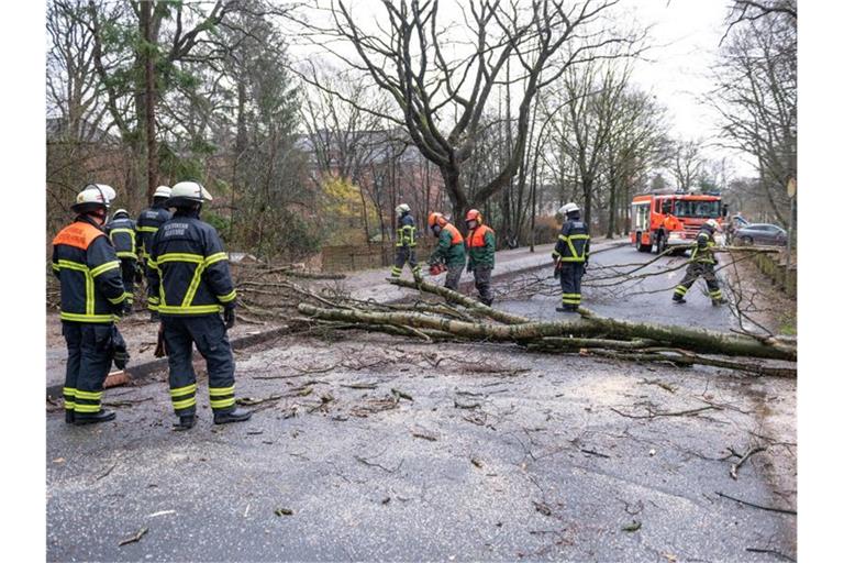 Sturmtief „Klaus“ sorgte für umgekippte Bäume. Am Wochenende könnten die Schäden größer werden. Foto: Jonas Walzberg/dpa