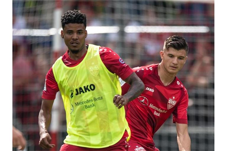 Stuttgarts Ailton Ferreira Silva (l) und Antonis Aidonis in Aktion. Foto: Fabian Sommer/dpa/Archivbild