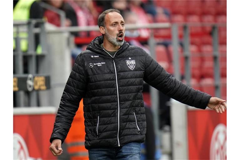 Stuttgarts Trainer Pellegrino Matarazzo gibt Anweisungen. Foto: Thomas Frey/dpa/Archivbild