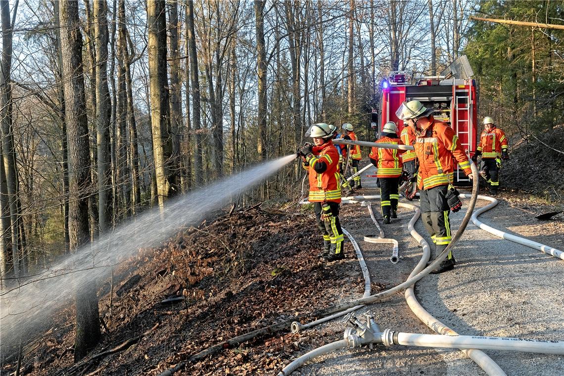 SULZBACH AN DER MURR (jf). Die Feuerwehr Sulzbach ist am Samstag kurz nach 18 Uhr zu einem Flächenbrand nach Siebersbach gerufen worden. Im Wald Richtung Kleinhöchberg brannte das Unterholz auf einer größeren Fläche. Das Feuer konnte durch die Feuerwehr rasch gelöscht werden, bevor er sich auf den Baumbestand ausweiten konnte. Die Freiwillige Feuerwehr aus Sulzbach war mit zwei Löschfahrzeugen, einem Führungsfahrzeug sowie mit 21 Einsatzkräften vor Ort. Zur Brandursache konnte die mit einer Streife anwesende Polizei vor Ort noch kein Aussage machen.Foto: J. Fiedler
