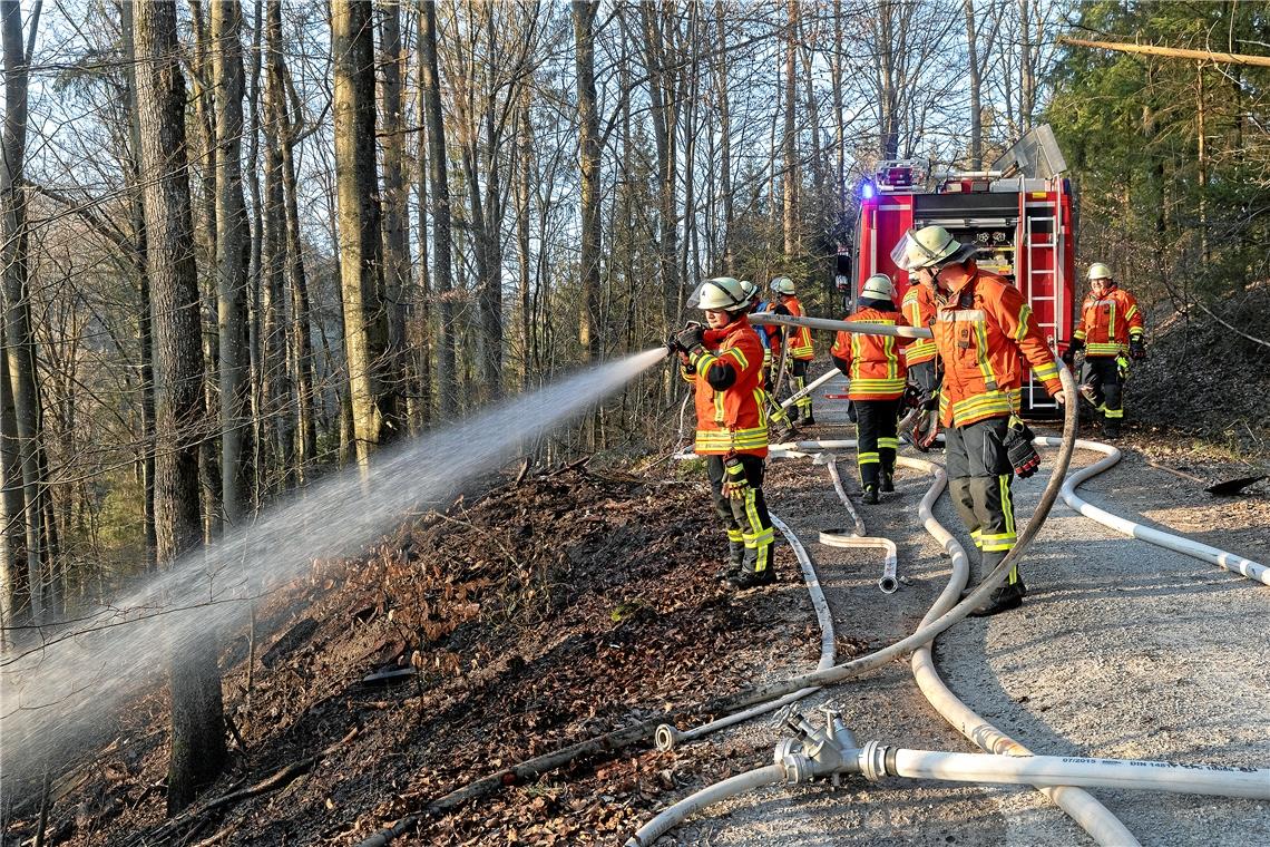 Feuerwehr löscht Flächenbrand SULZBACH AN DER MURR (jf). Die Feuerwehr Sulzbach ist am Samstag kurz nach 18 Uhr zu einem Flächenbrand nach Siebersbach gerufen worden. Im Wald Richtung Kleinhöchberg brannte das Unterholz auf einer größeren Fläche. Das Feuer konnte durch die Feuerwehr rasch gelöscht werden, bevor er sich auf den Baumbestand ausweiten konnte. Die Freiwillige Feuerwehr aus Sulzbach war mit zwei Löschfahrzeugen, einem Führungsfahrzeug sowie mit 21 Einsatzkräften vor Ort. Zur Brandursache konnte die mit einer Streife anwesende Polizei vor Ort noch kein Aussage machen.Foto: J. Fiedler