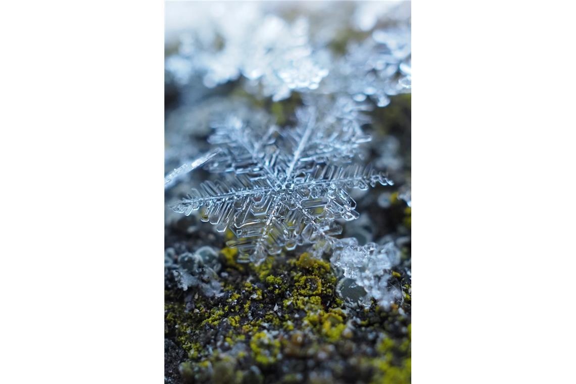 Susanne Lachenmaier ist der Schneeflocke in Erbstetten richtig nah gekommen. 