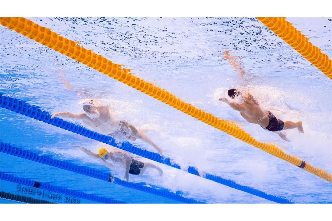 Schwarz glänzt mit Silber - Beste Schwimm-Bilanz seit 2009