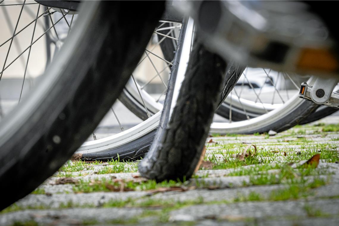 „Bike & Work“ startet in die achte Projektrunde Symbolbild: Alexander Becher