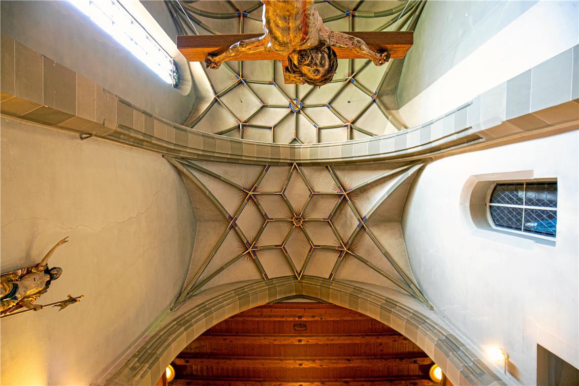 Vortrag über Gräber und Skelette in der Backnanger Stiftskirche Symbolbild: Alexander Becher
