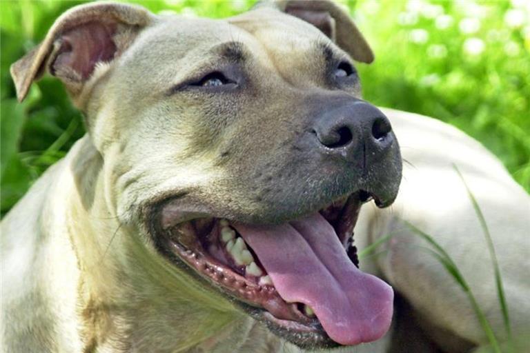 Symbolbild: Peter Förster 