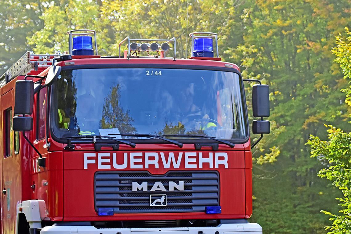 Symbolbild: Tobias Sellmaier
