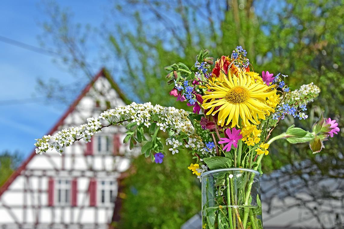 Symbolbild: Tobias Sellmaier