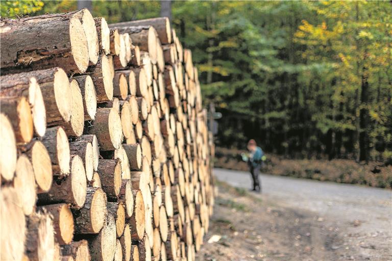 Symbolfoto: Gestohlen wurde das gesammelte Holz aus einem Waldgebiet in Oppenweiler. 