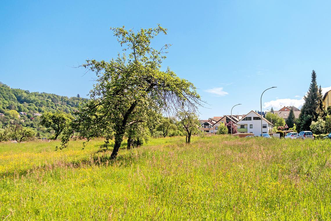 Symbolfoto: Stefan Bossow