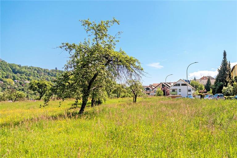 Symbolfoto: Stefan Bossow