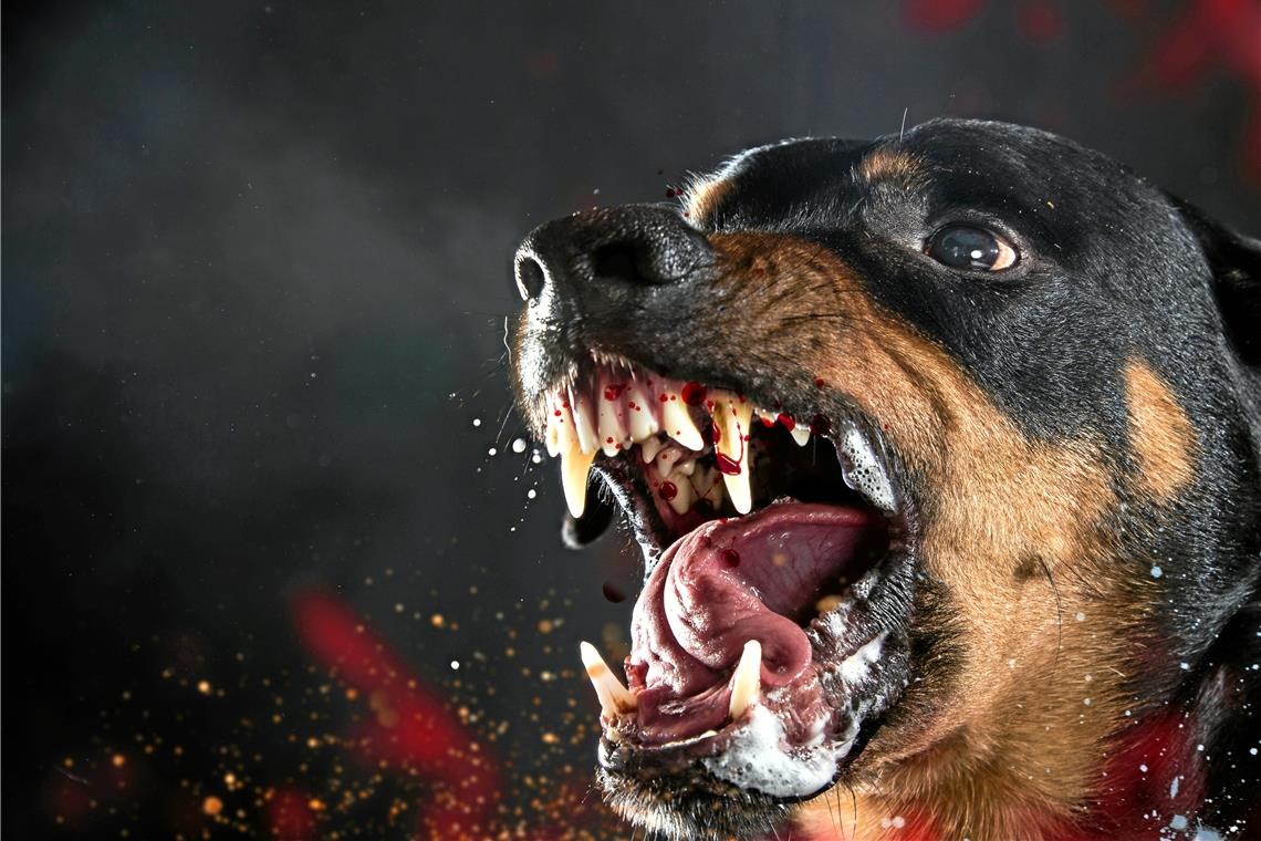 2700 Euro Strafe für Hundebiss