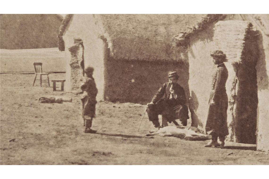 Szene aus „Bosque arriba en la montaña“, ein Dokumentarfilm über das  indigene Volk der Mapuche  im Süden Argentiniens und den patagonischen Wald. Von Sofía Bordenave, Argentinien 2026