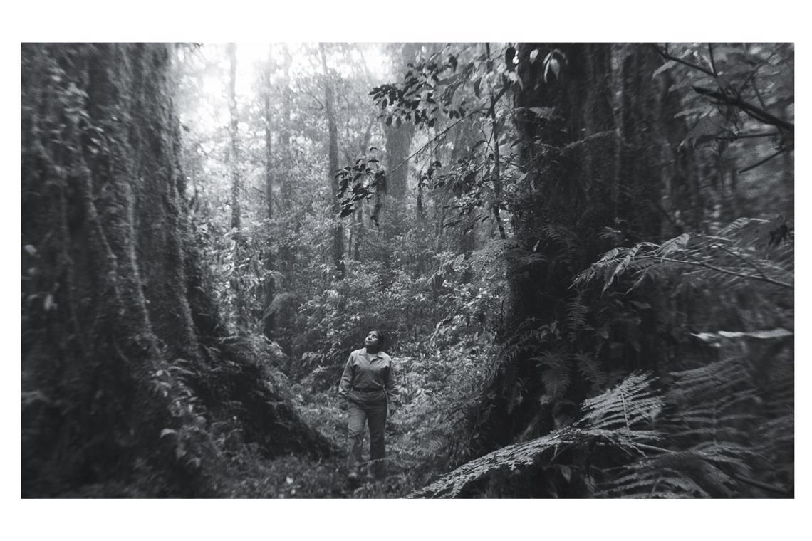 Szene aus „La reserva“, Spielfilm von Pablo Pérez Lombardini, Mexiko/Katar 2025