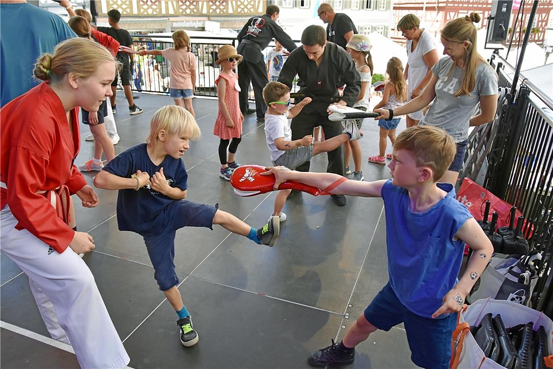 Taekwondo für groß und klein zum Mitmachen auf der Bühne am Marktplatz. Foto: Tobias Sellmaier