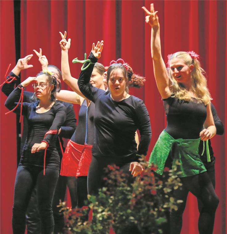 Party mit nachdenklichen Akzenten Tänzer mit und ohne Behinderung sorgen für fetzige Einlagen. Foto: A. Becher