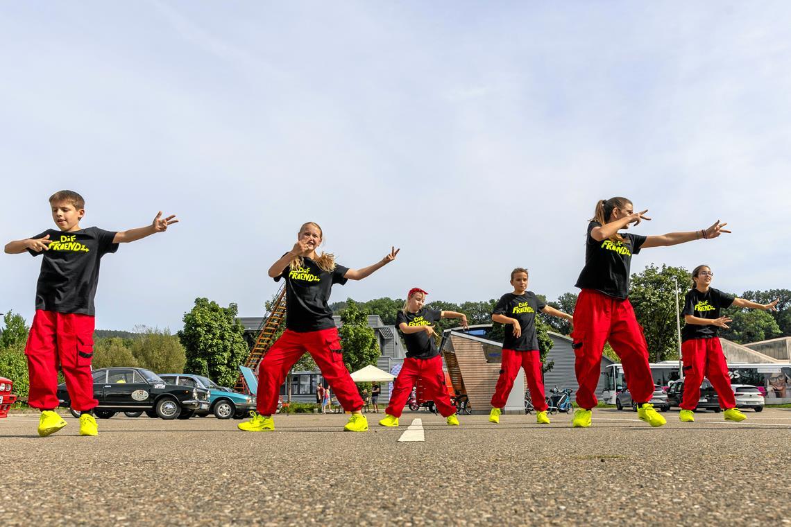Partnerstädtefestival in Backnang: Tänze, Graffitis, Soul- und Rapmusik Tänzerinnen und Tänzer der Tanzschule Dance Intense Factory werden an verschiedenen Orten in Backnang flashmobmäßig auftreten. Archivfoto: Alexander Becher