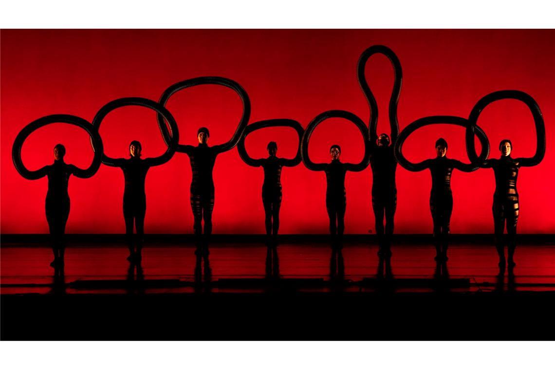 Tänzerinnen und Tänzer von MOMIX führen eine Premiere auf.