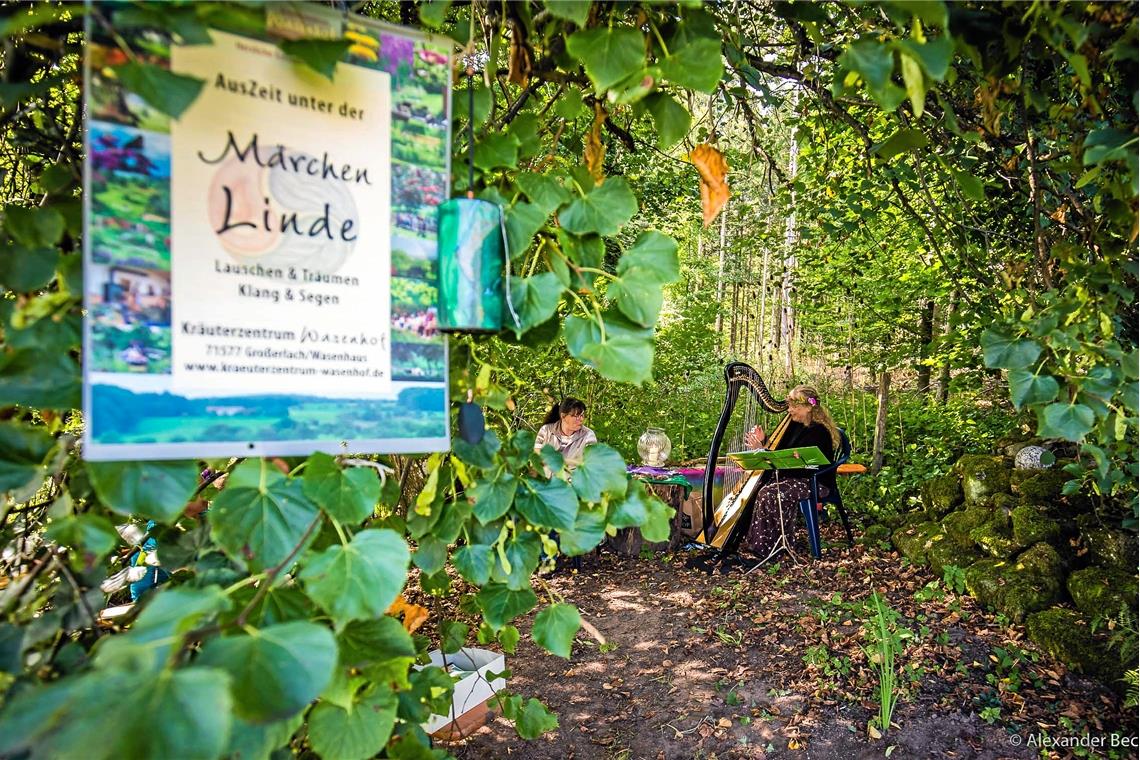 Tag der offenen Türe beim Kräuterzentrum Wasenhof anlässlich des 15-jährigen Bes...