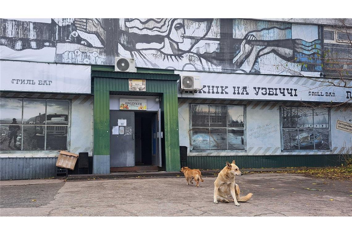 Rätsel um blaue Hunde in Tschernobyl ist gelöst Tagelang berichteten internationale Medien über "blaue Hunde" in Tschernobyl. Im radioaktiv belasteten Sperrgebiet bezeichnet man die Berichte als Unsinn.