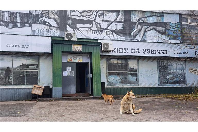 Rätsel um blaue Hunde in Tschernobyl ist gelöst Tagelang berichteten internationale Medien über "blaue Hunde" in Tschernobyl. Im radioaktiv belasteten Sperrgebiet bezeichnet man die Berichte als Unsinn.