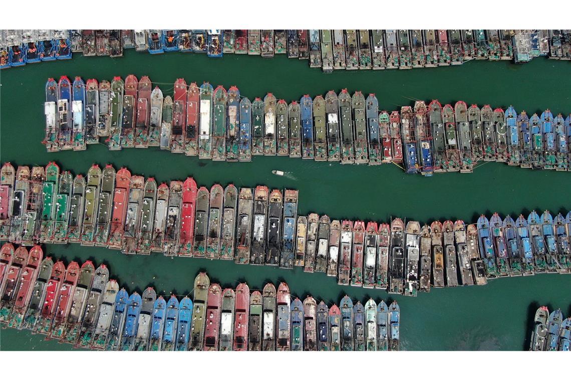 Taifun "Ragasa" verhindert, dass die Fischer in der südchinesischen Provinz Guangdong aufs Meer fahren. Auch diese Boote bleiben im sicheren Hafen.