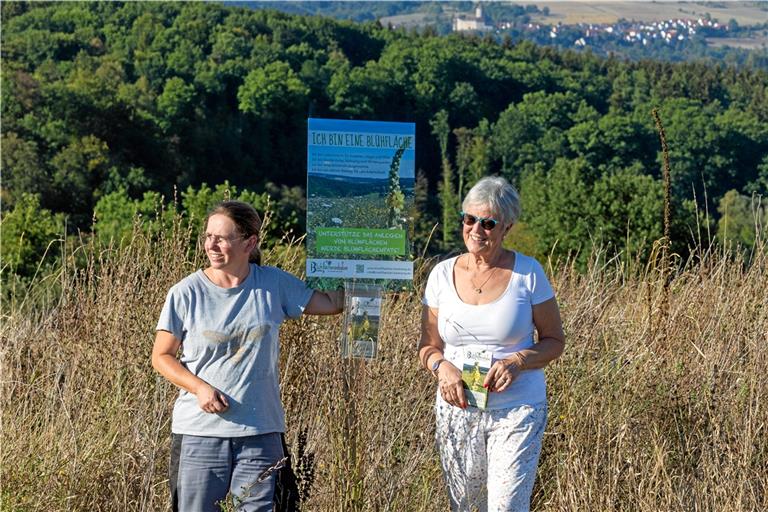 Tanja Fichtl (links) und Jutta Pütz engagieren sich in der Blühinitiative Backnang. Ihnen ist wichtig, dass die heimischen Pflanzen möglichst lange stehen bleiben. In diesem Jahr sind leider viele Pflanzen vertrocknet. Foto: Alexander Becher