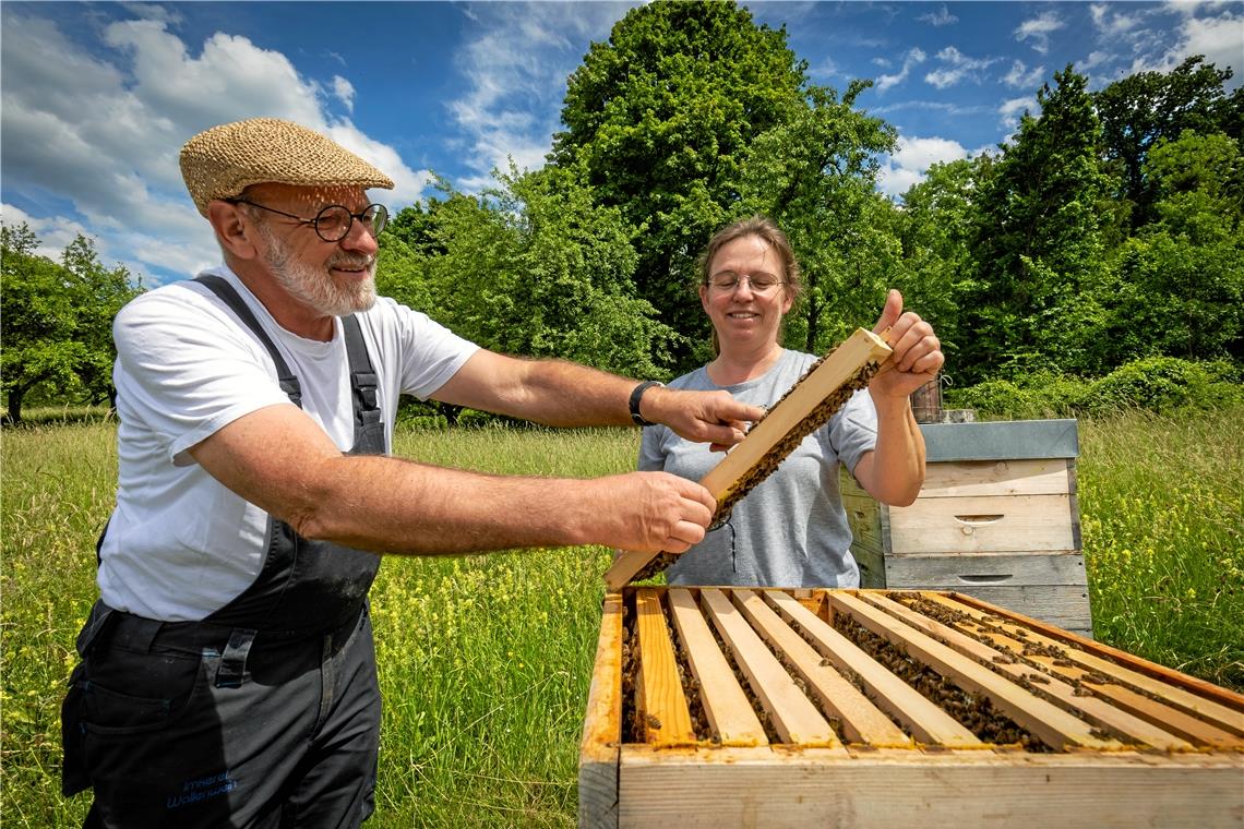 Ein Tag bei zwei Imkern: So viel Arbeit steckt im Honig Tanja Fichtl und Werner Wallenwein aus Auenwald betreiben die Imkerei mit viel Sorgfalt, Sachverstand und Spaß an der Sache. Fotos: Alexander Becher