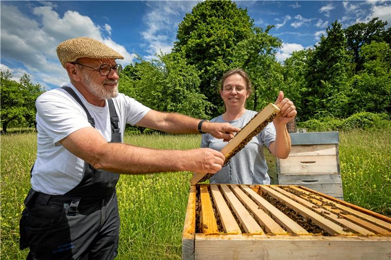 Tanja Fichtl und Werner Wallenwein aus Auenwald betreiben die Imkerei mit viel Sorgfalt, Sachverstand und Spaß an der Sache. Fotos: Alexander Becher