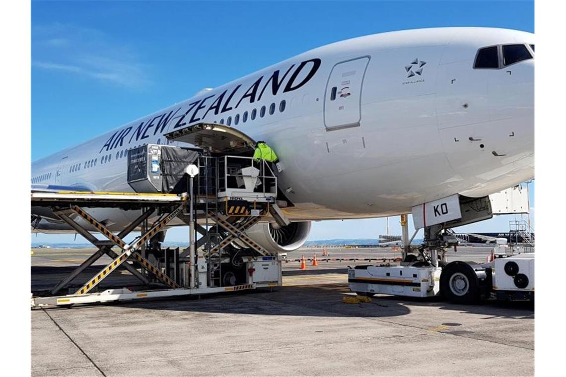 Fast 200.000 Deutsche aus dem Ausland zurückgebracht Tausende wegen der Coronavirus-Krise in Neuseeland festsitzende Ausländer, darunter auch viele Deutsche, können den Pazifikstaat verlassen. Foto: -/Air New Zealand/AP/dpa
