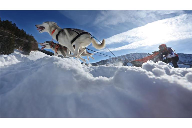 Teams aus etlichen Ländern in Europas gingen im bayerisch-österreichischen Grenzgebiet an den Start.