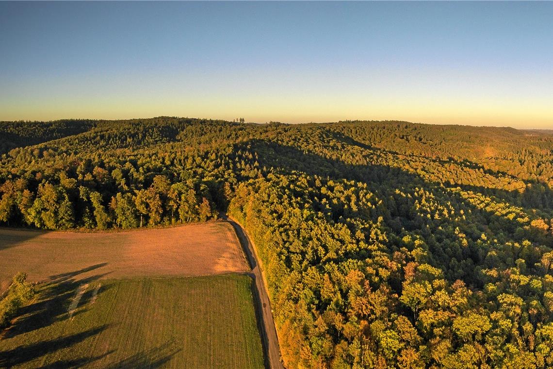 Teile der Waldfläche zwischen Allmersbach am Weinberg (im Vordergrund) und Spiegelberg-Nassach müssten nach Planung der EnBW für die Windräder weichen.Foto: Alexander Becher