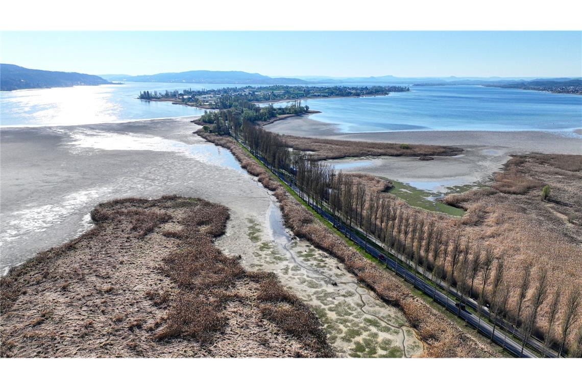 Der Bodensee lädt zum Wattwandern Teile des Wollmatinger Rieds liegen trocken.