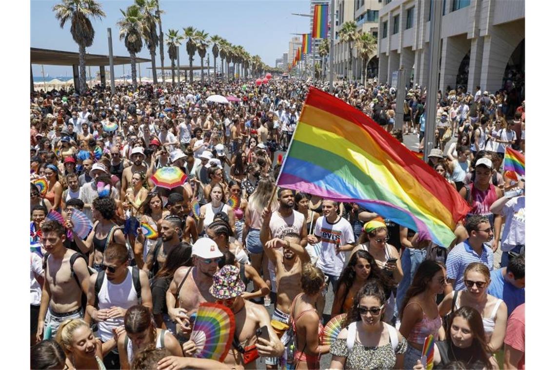 Teilnehmende mit Fahnen, Fächern und Schirmen in Regenbogenfarben. Foto: Ariel Schalit/AP/dpa