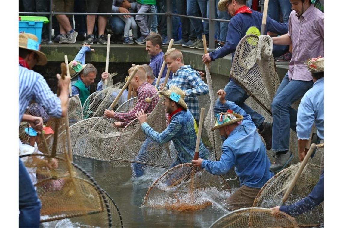 Teilnehmer des Fischertages springen mit ihren Keschern in den Stadtbach - allerdings sind Frauen nicht zugelassen. Foto: Karl-Josef Hildenbrand/dpa/Archivbild