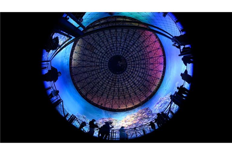 Teilnehmer des Presserundgangs betrachten das Panorama "Great Barrier Reef" von Yadegar Asisi im im Panometer Dresden, einem ehemaligen Gasometer.