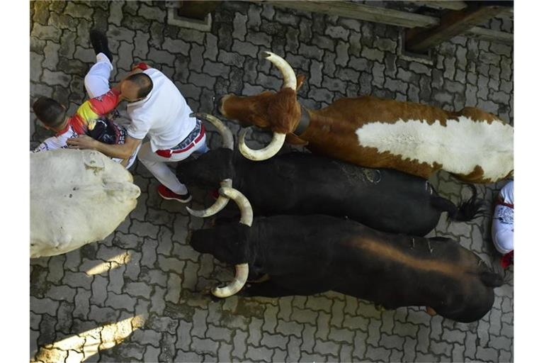 Teilnehmer rennen in der Altstadt von Pamplona vor den Kampfstieren weg. Foto: Alvaro Barrientos/AP