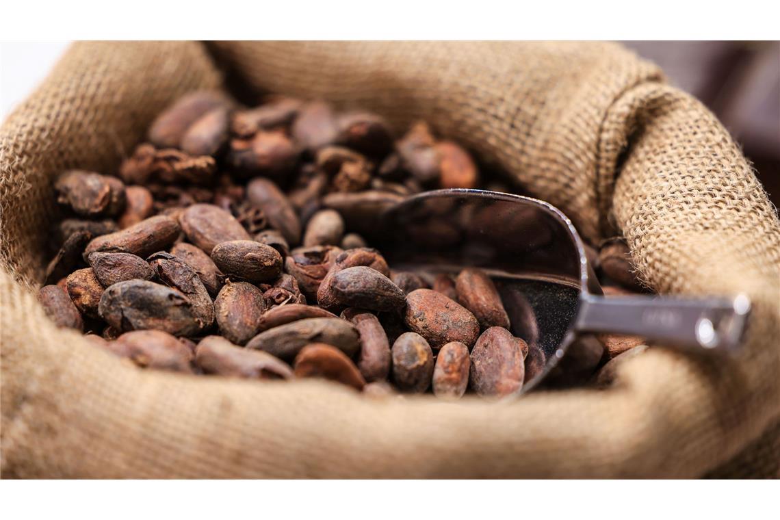 Preisschock zur Adventszeit – Schoko-Lust wird teuer