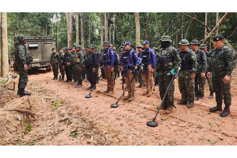 Thailand hatte erst kürzlich Landminen in der umstrittenen Grenzregion entdeckt. (Archivfoto)