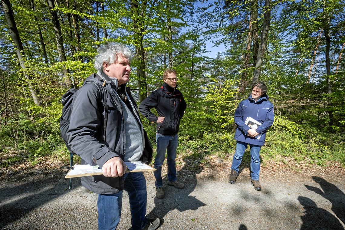 Thomas Klingseis (links) und Hendrik Turni (rechts) nehmen das Artenspektrum im Waldgebiet Hörnle ein Jahr lang genau unter die Lupe. Philip Gohl (Mitte) ist Projektleiter beim Unternehmen Uhl Windkraft, das hier drei Windkraftanlagen plant. Fotos: Alexander Becher