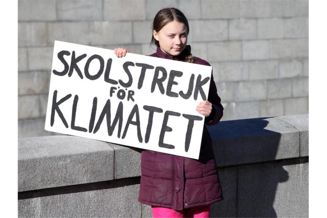 Thunberg hatte die weltweite Fridays-for-Future-Bewegung angestoßen. Foto: Steffen Trumpf