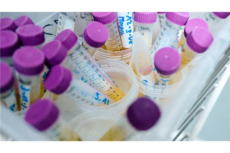 Tiefgefrorene Urinproben liegen in einem Labor des Landesamt für Natur, Umwelt und Verbraucherschutz (Lanuv) Nordrhein-Westfalen in Essen  in einem Kühlschrank. In den Proben von zahlreichen Kleinkindern konnte der Weichmacher DnHexP nachgewiesen werden.
