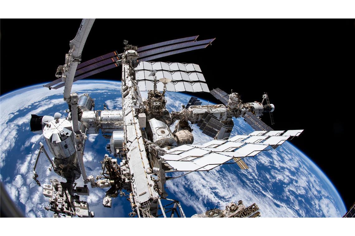 Tiere aus dem All verfolgen – das soll bald wieder möglich sein (Symbolfoto).