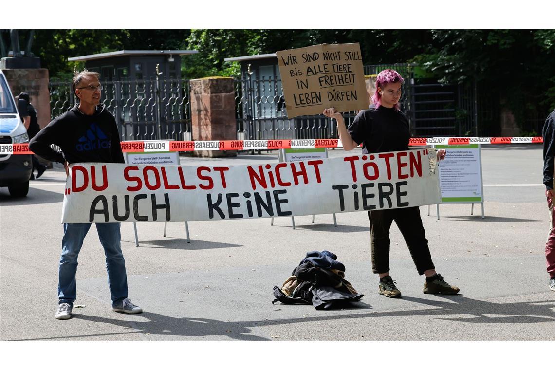 Nach Pavian-Tötung: Tierschützer bauen Protestcamp auf Tierschützer bauen am Nürnberger Tiergarten ein Protestcamp auf.