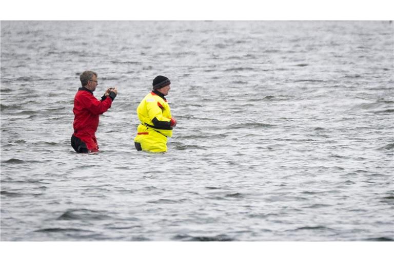 Till Backhaus läuft zum Buckelwal