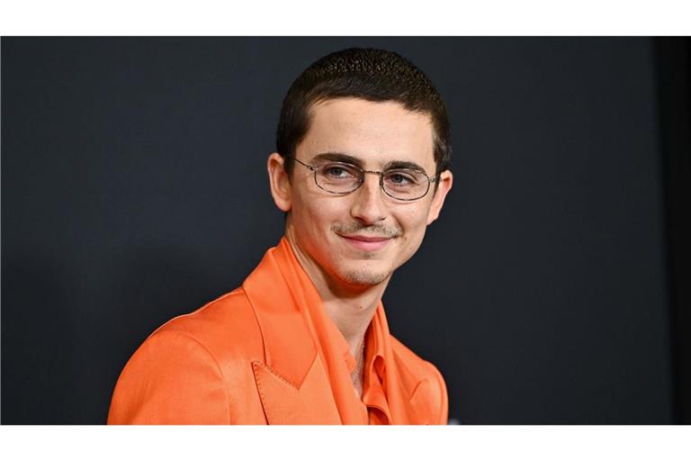 Timothée Chalamet geht ungewöhnliche Wege, um seinen aktuellen Film "Marty Supreme" zu promoten (Archivbild).