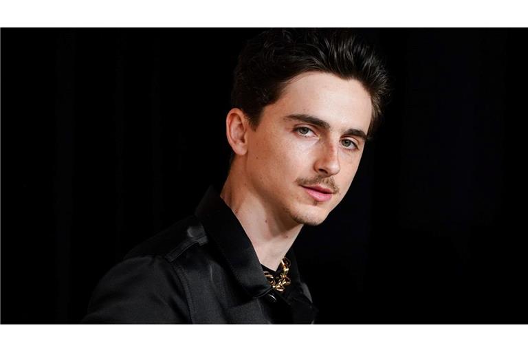 Timothée Chalamet gilt aktuell als einer der gefragtesten Schauspieler Hollywoods (Archivbild).